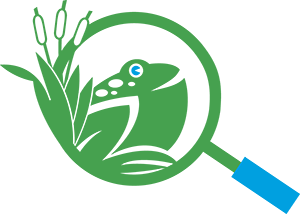 ODC Network Logo